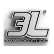 3L